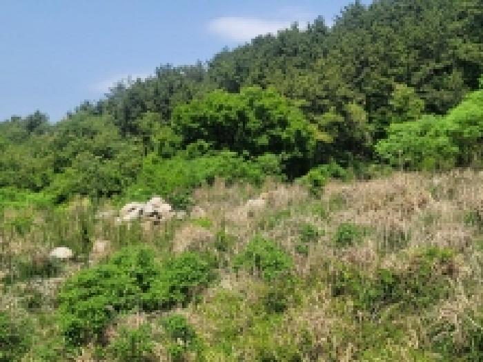 경남 거제시 사등면 답 경매 물건 사진 3 · 2025타경450