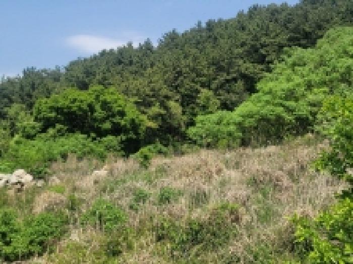 경남 거제시 사등면 답 경매 물건 사진 4 · 2025타경450