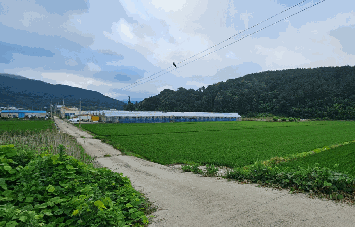 경상남도 거제시 동부면 산촌리 498 답 경매 물건 사진