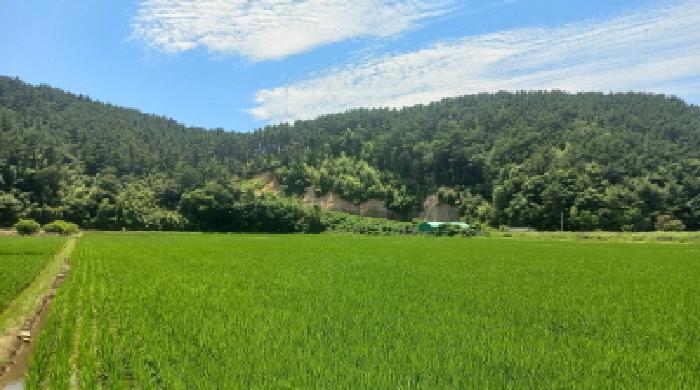 경남 거제시 동부면 답 경매 물건 사진