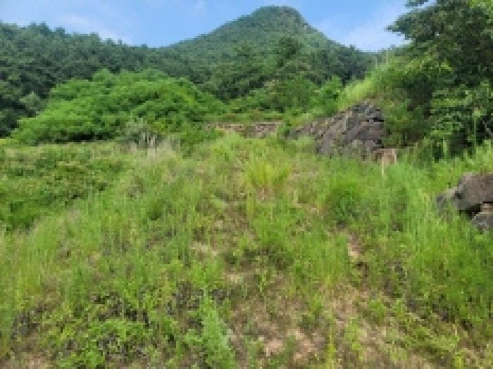 경남 거제시 사등면 전 경매 물건 사진 3 · 2025타경546