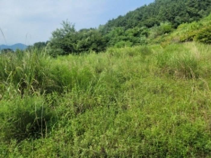 경남 거제시 사등면 전 경매 물건 사진