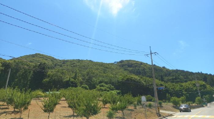경남 거제시 동부면 전 경매 물건 사진