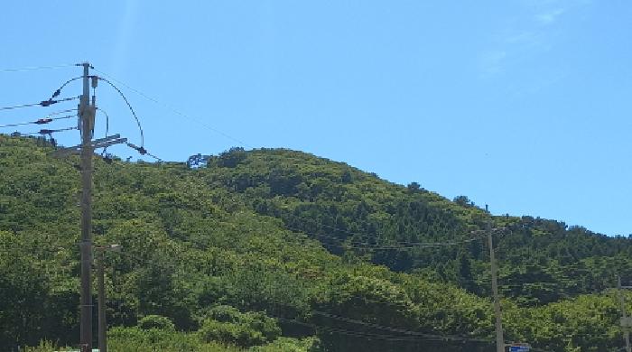 경남 거제시 동부면 전 경매 물건 사진 5 · 2025타경548