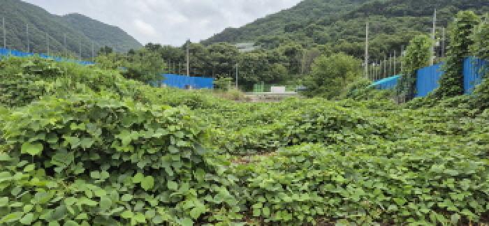 경남 고성군 마암면 대지,임야,전답 경매 물건 사진