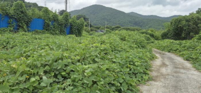 경남 고성군 마암면 대지,임야,전답 경매 물건 사진 3 · 2025타경554