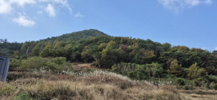 경남 고성군 상리면 근린생활시설 경매 물건 사진 5 · 2025타경607