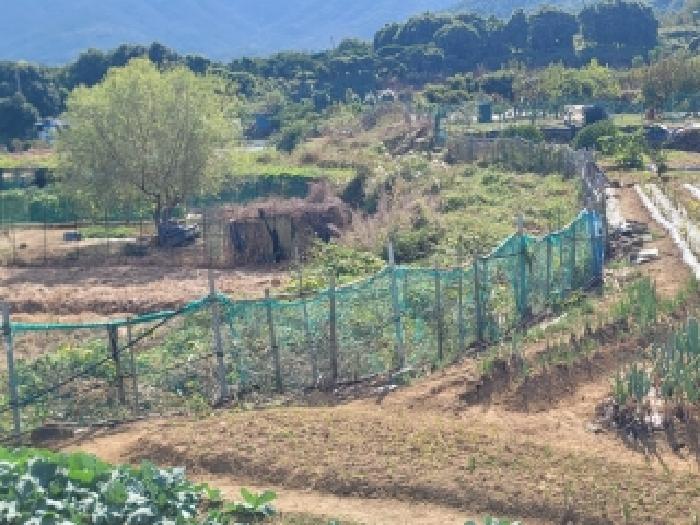 경남 거제시 사등면 전답 경매 물건 사진
