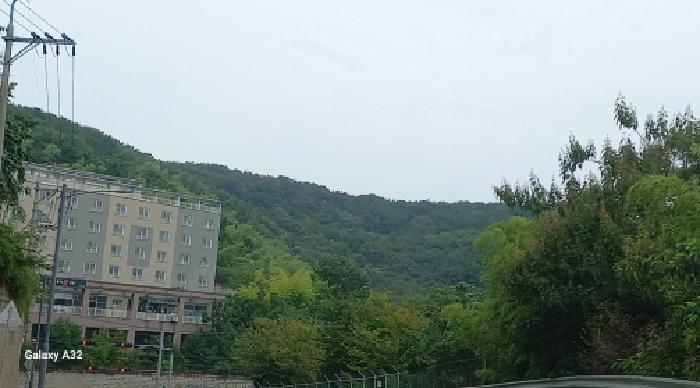 경남 거제시 장평동 임야 경매 물건 사진