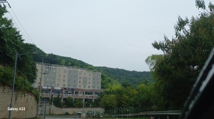 경남 거제시 장평동 임야 경매 물건 사진 2 · 2025타경619