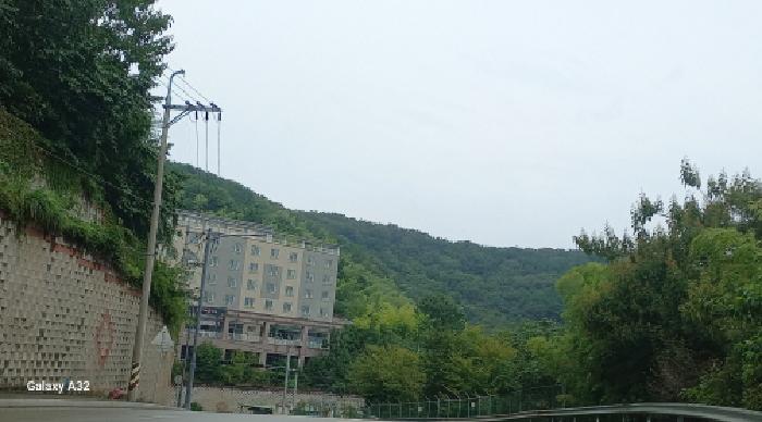 경남 거제시 장평동 임야 경매 물건 사진 3 · 2025타경619