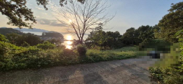 경남 고성군 삼산면 대지,임야,전답 경매 물건 사진