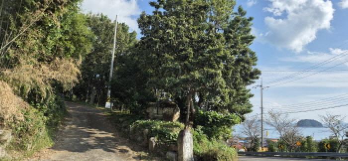 경남 고성군 삼산면 대지,임야,전답 경매 물건 사진 2 · 2025타경629