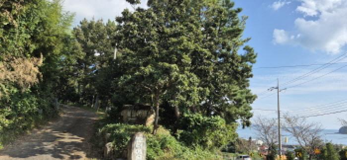 경남 고성군 삼산면 대지,임야,전답 경매 물건 사진 3 · 2025타경629