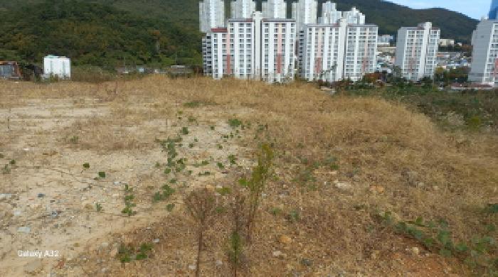 경남 거제시 일운면 답 경매 물건 사진 4 · 2025타경649