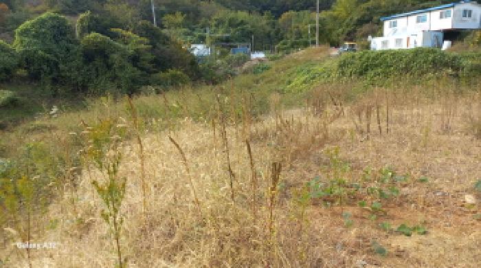 경남 거제시 일운면 답 경매 물건 사진 5 · 2025타경649