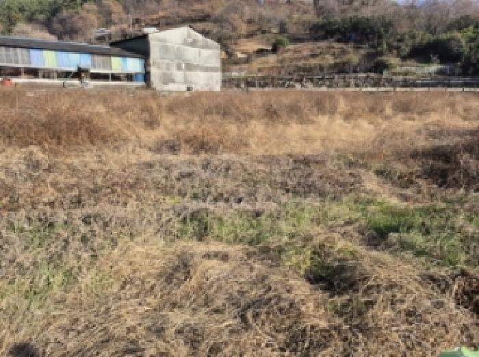 경남 고성군 회화면 답 경매 물건 사진 4 · 2025타경666