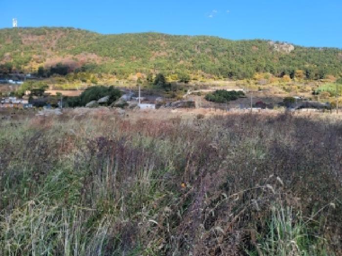 경남 통영시 산양읍 대지,임야,전답 경매 물건 사진 3 · 2025타경677