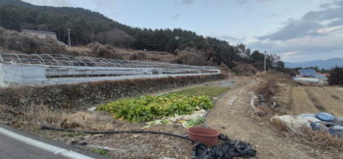 경남 고성군 하일면 답 경매 물건 사진 5 · 2025타경682