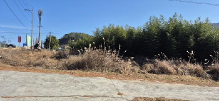 경남 고성군 상리면 임야 경매 물건 사진 2 · 2025타경686