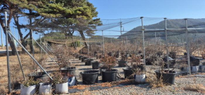 경남 고성군 상리면 임야 경매 물건 사진 4 · 2025타경686
