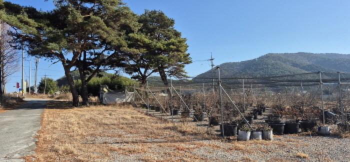 경남 고성군 상리면 임야 경매 물건 사진 5 · 2025타경686