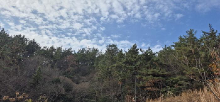 경남 고성군 하이면 임야 경매 물건 사진
