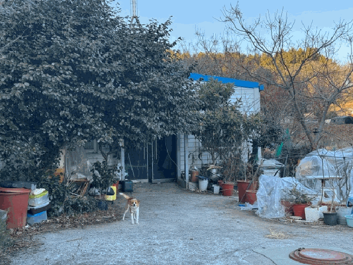경남 거제시 사등면 전 경매 물건 사진 6 · 2026타경10029