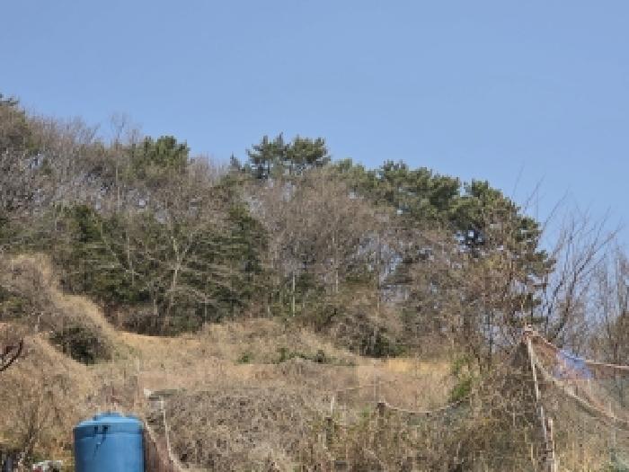 경남 통영시 산양읍 단독주택 경매 물건 사진