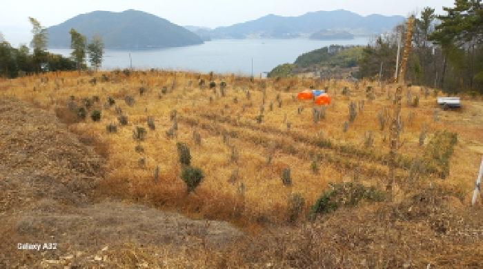 경남 거제시 하청면 대지,임야,전답 경매 물건 사진 2 · 2026타경10057