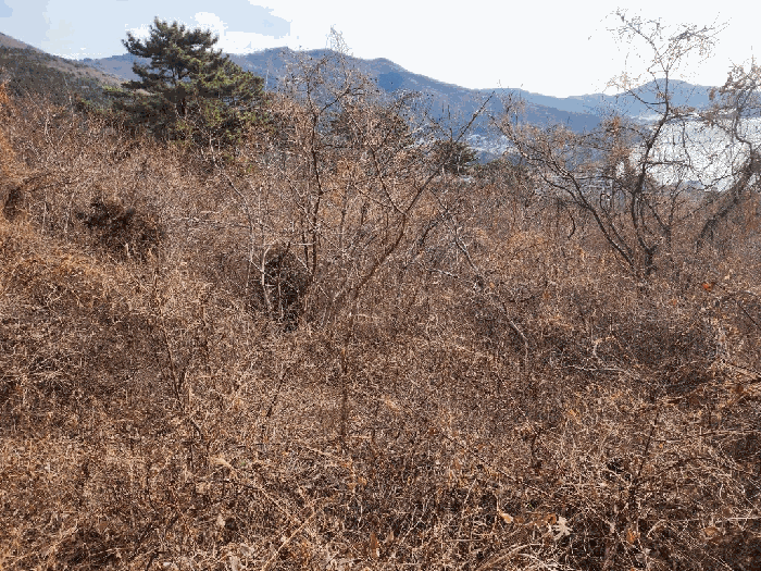 경남 거제시 일운면 전답 경매 물건 사진 5 · 2026타경10059