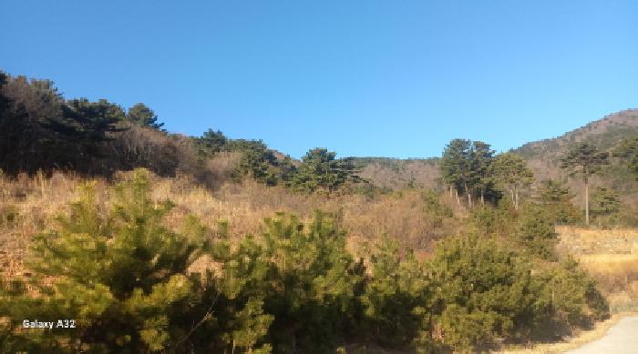 경남 거제시 일운면 전답 경매 물건 사진