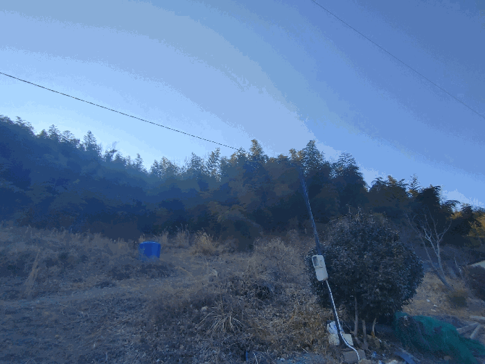 경남 거제시 하청면 과수원 경매 물건 사진 6 · 2026타경10074