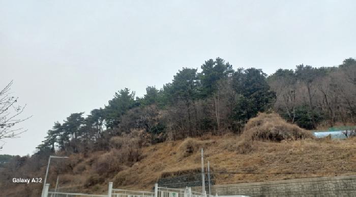 경남 거제시 아주동 임야 경매 물건 사진 2 · 2026타경10076
