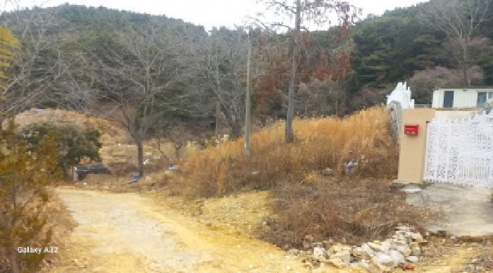 경남 거제시 동부면 임야 경매 물건 사진 4 · 2026타경10077