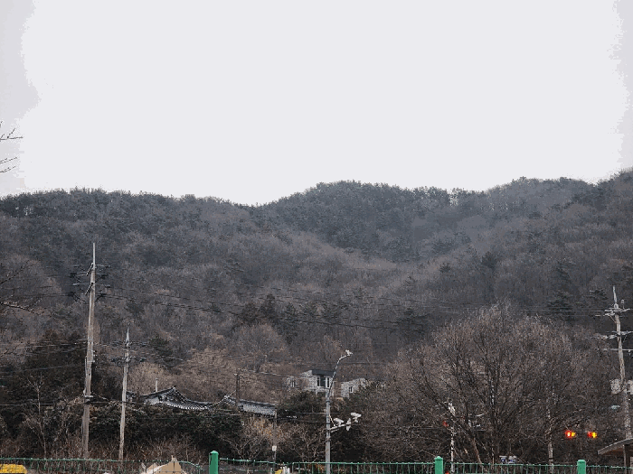 경남 거제시 연초면 임야 경매 물건 사진 4 · 2026타경10115