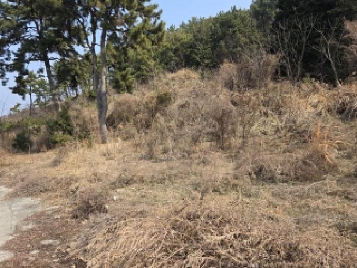 경남 거제시 사등면 전답 경매 물건 사진