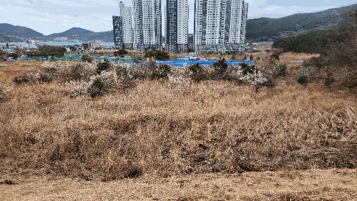 경남 거제시 일운면 전답 경매 물건 사진 4 · 2026타경10183