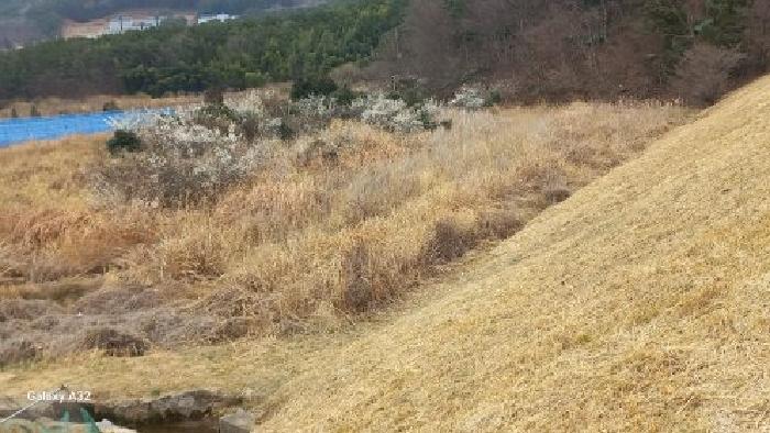 경남 거제시 일운면 전답 경매 물건 사진