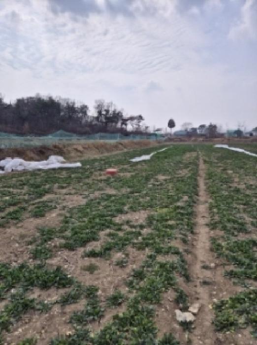 경남 고성군 거류면 전답 경매 물건 사진