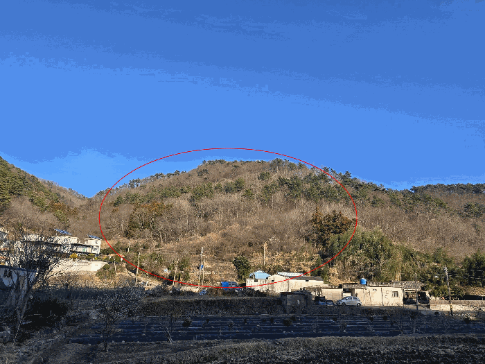 경남 거제시 연초면 임야 경매 물건 사진 5 · 2026타경10205
