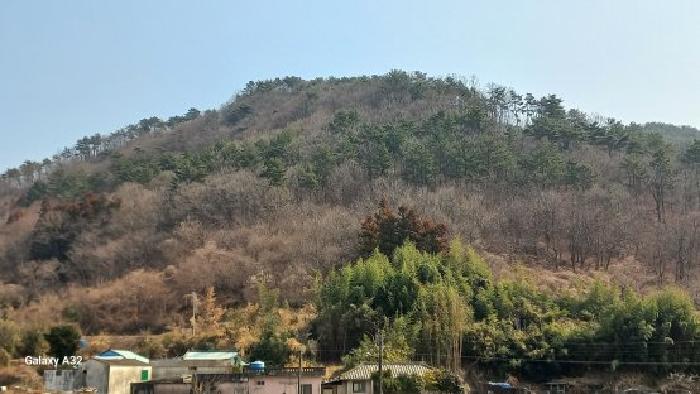 경남 거제시 연초면 임야 경매 물건 사진