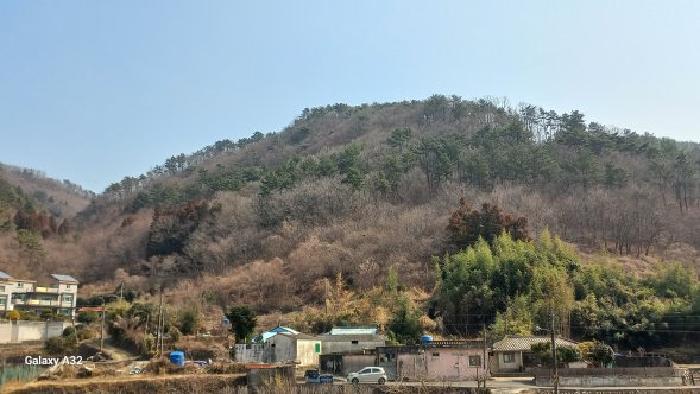 경남 거제시 연초면 임야 경매 물건 사진 4 · 2026타경10205