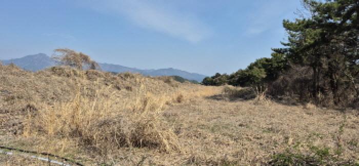 경남 고성군 삼산면 잡종지 경매 물건 사진