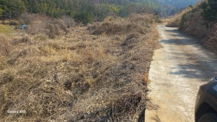 경남 거제시 하청면 대지,임야,전답 경매 물건 사진