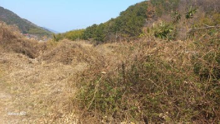 경남 거제시 하청면 대지,임야,전답 경매 물건 사진 5 · 2026타경10213