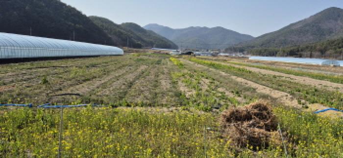 경남 고성군 삼산면 전답 경매 물건 사진 4 · 2026타경10232
