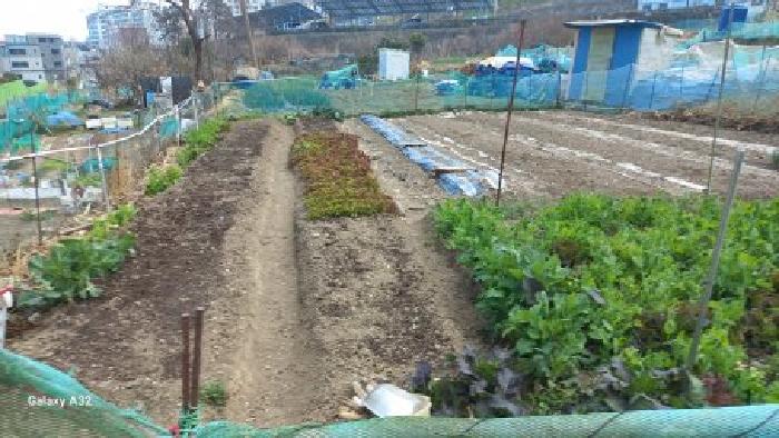 경남 거제시 아주동 대지 경매 물건 사진 3 · 2026타경10238