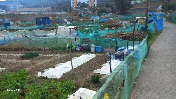 경남 거제시 아주동 대지 경매 물건 사진 4 · 2026타경10238