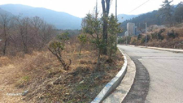 경남 거제시 아주동 임야 경매 물건 사진